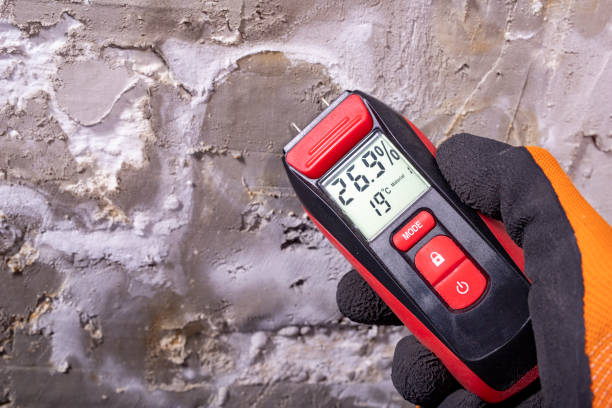 Best Certified Mold Removal  in Nogales, AZ