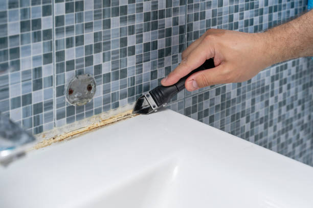 Best Home Mold Removal  in Nogales, AZ